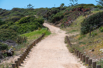 Fototapeta na wymiar Trail Praia da Mareta in the resort town of Sagres in the Algarve, Portugal in the summer of 2022