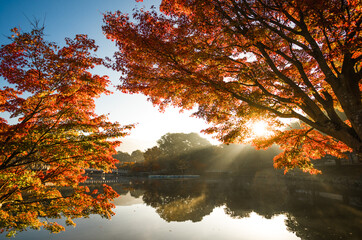 Lakeside and autumn leaves in Kyoto, Japan
