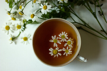 Herbal tea with fresh chamomile flowers on white background