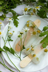 cosmetic ice cubes with chamomile and mint for home care applies to the face.