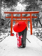 エキゾティックジャパン