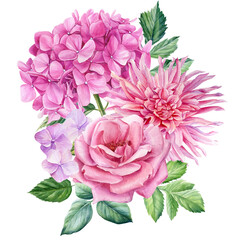 Rose, dahlias, hydrangea and leaves. Flowers watercolor botanical illustration