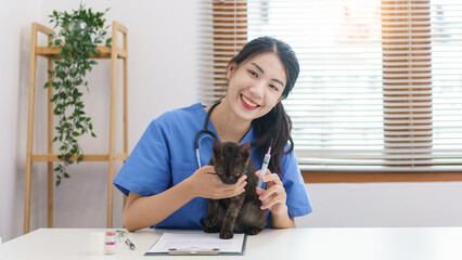 Pet care concept, Female veterinary prepare vaccinations to injection the cat in vet clinic