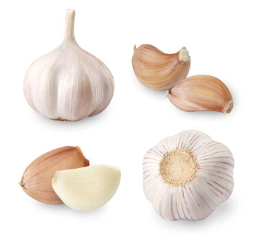 Whole garlic  and peeled garlic cloves isolated on white background. Garlic clove cut out.