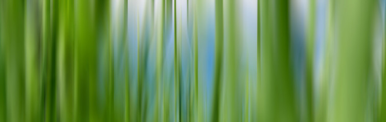 Natural background, green grass. Blurred motion. Green grass close-up as a background.