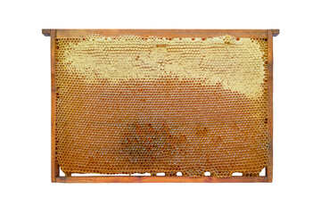 bee frame with honey on a white background