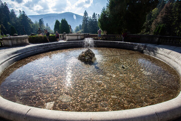 Old pool with coins in palace garden