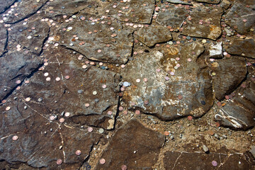 Old pool with coins in palace garden