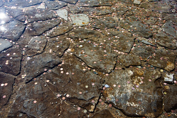 Old pool with coins in palace garden