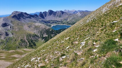 Naklejka premium allos