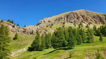 Naklejka premium montagne