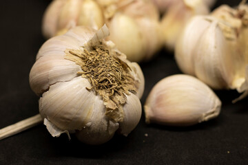 garlic on a wooden background