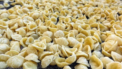 Close-up image of fresh handmade Apulian orecchiette pasta. Typical Italian pasta recipe