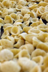 Close-up image of fresh handmade Apulian orecchiette pasta. Typical Italian pasta recipe