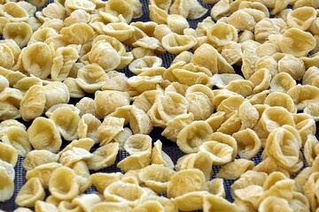 Close-up image of fresh handmade Apulian orecchiette pasta. Typical Italian pasta recipe