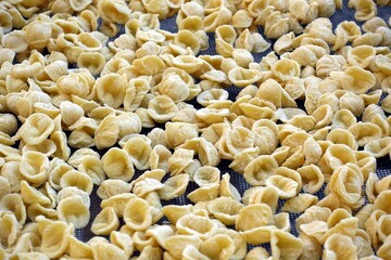 Close-up image of fresh handmade Apulian orecchiette pasta. Typical Italian pasta recipe