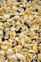 Close-up image of fresh handmade Apulian orecchiette pasta. Typical Italian pasta recipe
