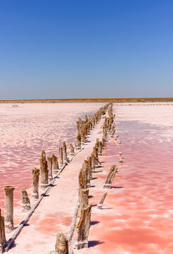 The pink lake is a beautiful landscape, unusual nature.
