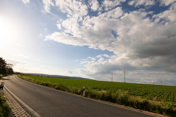Fototapeta na wymiar Rodheim, Wetterau, Hesse, Germany, June 2020: Landscape with road and a field, blue sky and some clouds. Power pole in the background.