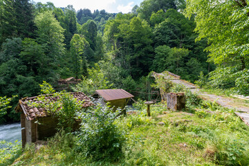 Obraz premium Firtina Stream view in Rize Province of Turkey