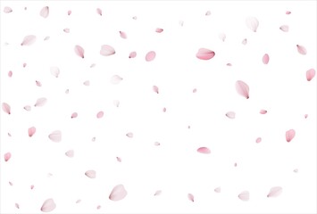 Cherry petals backdrop. Sakura petals background.