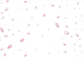 Cherry petals backdrop. Sakura petals background.