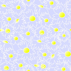 The chamomile flower. Silhouettes of  daisies for textiles. Seamless floral texture of Daisy flower on blue background, EPS 8, vector.
