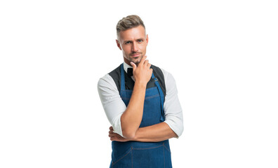 Serious man crop view in apron and bow stroking chin isolated on white, shop owner