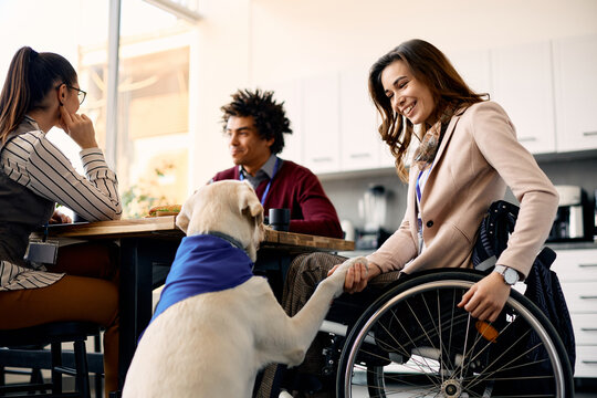 Assistance dog gives paw to businesswoman who is using wheelchair.
