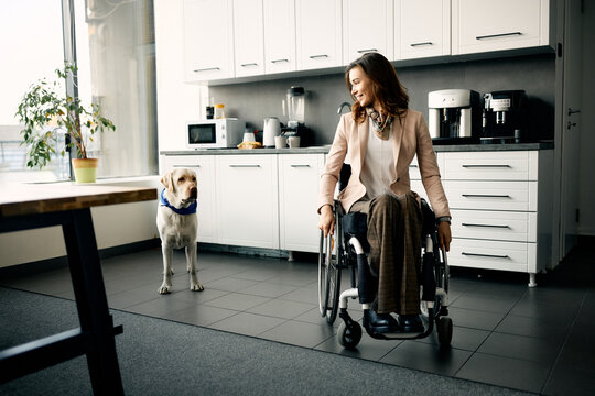 Happy businesswoman in wheelchair and her assistance dog at office kitchen.