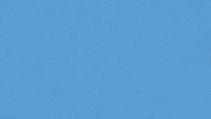 The topographic map contour in lines and contours isolated on blue background