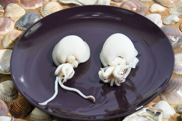 italian sea food squids
