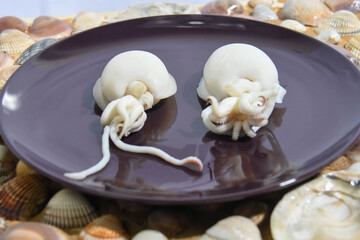 italian sea food squids