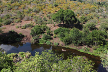 Afrikanischer Busch - Krügerpark - Sweni River / African Bush - Kruger Park - Sweni River /