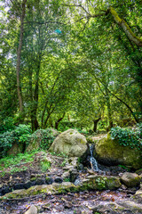 Water and rocks in San Leonardo forest