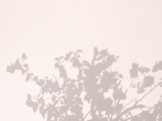 Nature leaves tree branch plant shadow on concrete wall background.
