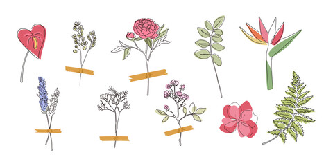 One continuous line set of plants, flower hand drawing collection for t-shirt prints, logos, stories, social.