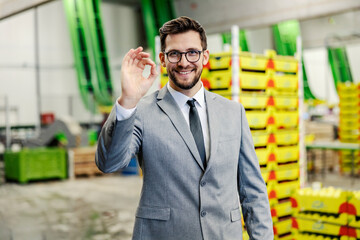 Portrait of a businessman showing okay gesture in warehouse.