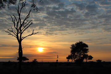 Sonnenaufgang - Krüger Park Südafrika / Sunrise - Kruger Park South Africa /