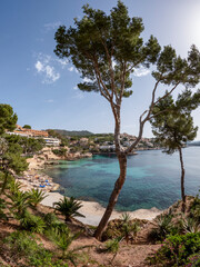 Fototapeta na wymiar Cala Fornells and Platja Palmira beach in Peguera, Mediterranean Sea, Balearic Islands, Spain