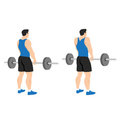 Fototapeta na wymiar Man doing Barbell shrugs back view exercise. Flat vector illustration isolated on white background