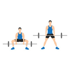 Man doing Sumo Barbell deadlifts exercise. Flat vector illustration isolated on white background