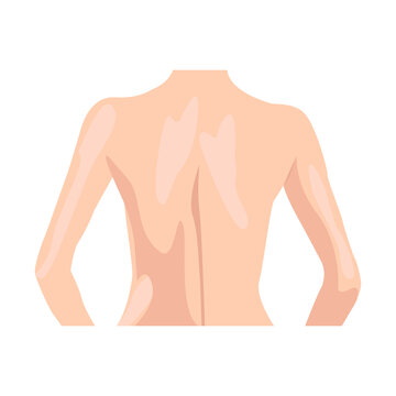 Female back flat icon. Colored vector element from body parts collection. Creative Female back icon for web design, templates and infographics.