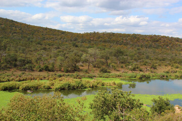 Obraz premium Orpen Dam - Krüger Park Südafrika / Orpen Dam - Kruger Park South Africa /