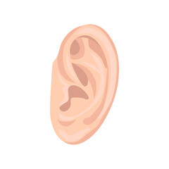 Human ear flat icon. Colored vector element from body parts collection. Creative Human ear icon for web design, templates and infographics. - obrazy, fototapety, plakaty