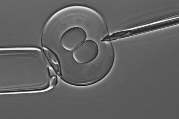 imitation of the image seen through the eyepiece of a microscope. (biological experiments with...