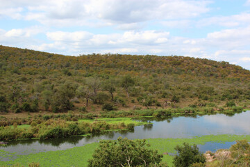 Orpen Dam - Krüger Park Südafrika / Orpen Dam - Kruger Park South Africa /