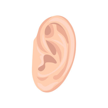 Human ear flat icon. Colored vector element from body parts collection. Creative Human ear icon for web design, templates and infographics.