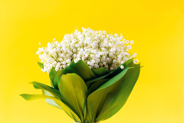 White lilies of the valley on a yellow background. Convallaria