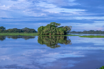 Cienaga de las Macanas Herrera Panama
